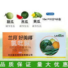 座瓜灵0.1%氯吡脲坐果药黄瓜甜瓜西瓜类专用点花授粉药座果增产 10ml*10瓶（一盒）