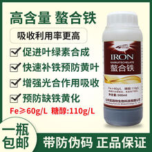 螯合铁 铁肥液体叶面肥  果树快速补铁 预防黄叶植物黄化 高含量螯合铁200克