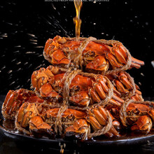 【全母大蟹】花雕熟即食6只蟹蟹香蟹熟食蟹欧因 香辣大闸蟹两份12只