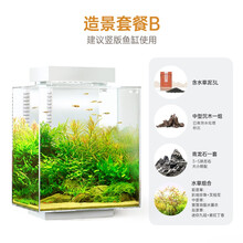 花小鱼 智能鱼缸水族箱客厅桌面创意免换水生态小型YG10玻璃鱼缸内置加热超白中小型办公室摆件自带增氧 景观套餐B