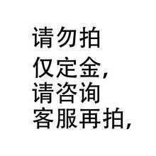 德国莫甘娜无线洗车机高压家用水泵锂电增压水枪大功率充电便携电动刷车神器 强劲豪华旗舰定制订金