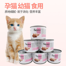 美国GAINSTRO帮你壮宠物孕猫幼猫猫咪离乳期罐头主食湿粮195g*6罐