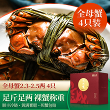 【活蟹】诚蟹一品 大闸蟹鲜活 全母蟹4只装 螃蟹生鲜现货特大 中秋国庆节日水产礼盒 全母蟹2.3-2.5两 4只