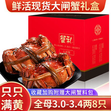 【活蟹】【全母蟹】阳澄西湖大闸蟹鲜活螃蟹现货海鲜水产生鲜蟹类礼盒 全母蟹:3.0-3.4两（8只）