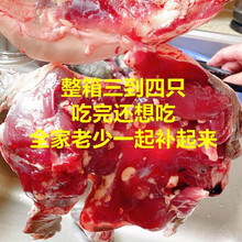 甲鱼现杀批发外塘生态老鳖食用王八真空包装新鲜去皮去膜去油 抢整箱【4.5-5斤】 宰杀去膜去内脏去油脂封包后上称的重量