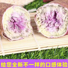 现挖新鲜红薯地瓜冰淇淋番薯板栗薯批发10斤冰激凌一点红 10斤装小果(净重9斤)