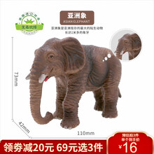wenno玩具仿真动物海洋模型软胶摆件男女孩狮子大象老虎儿童生日礼物玩具 亚洲象