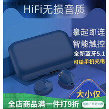 零笙（LS）真无线迷你超小隐形看不见的蓝牙耳机不闪灯小巧入耳式女士款可爱 肤色-真隐形不闪灯10mm 小毛豆-双耳版(可以给手机充电)