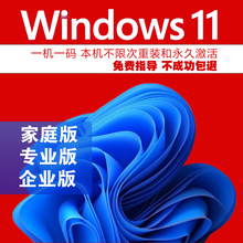 正版WIN10系统/windows10系统正版u盘/win10专业版/家庭版/企业版/激活码/密钥 win11专业版 U盘 发京东 含税可开发票