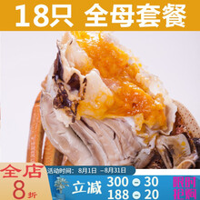 【活鲜】大闸蟹全母4.0-3.5两18只鲜活螃蟹活体现货礼盒 塔布莫特 (全母2.5-2.0两)18只