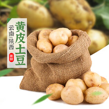 享味观陕西/云南黄皮土豆多仓园地直发 十斤 黄皮土豆