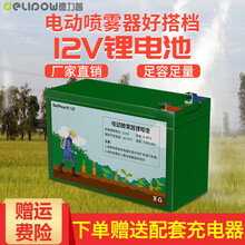 德力普（Delipow）锂电池 12v大容量电动喷雾机农用锂电瓶蓄电池 适用喷农药/照明灯/门禁童车 【喷雾器锂电池12V53WH】