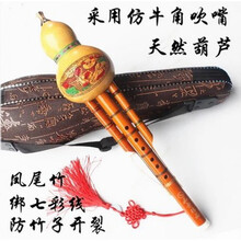 杉贝 SHANBEI 云南天然葫芦丝乐器降B调c调胡芦丝双音儿童学生成人初学者零基础抖音同款 葫芦丝C调