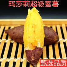 鲜其玛莎莉品种红薯蜜薯糖心黄金甜软糯香甜日本奶油原种5斤地瓜红瑶番薯 玛莎莉蜜薯精选【大果5斤 5斤