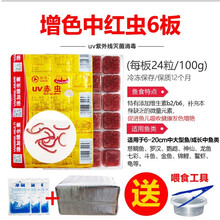 冷冻红虫冰冻血线虫牛心汉堡丰年虾干鹦鹉罗汉七彩神仙龙鱼食饲料 6板增色中红虫