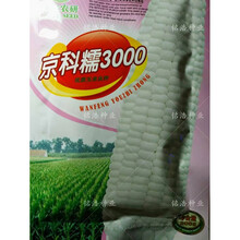 白糯玉米种子可口香甜糯高产早熟春夏秋季糯玉米种籽--京科糯3000 京科糯3000糯玉米种子原装200克
