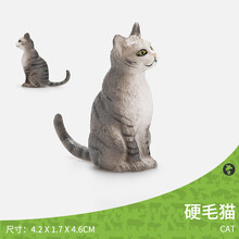 儿童认知家禽农场动物模型玩具 仿真天鹅鸡鸭兔猪牛羊马早教套装 硬毛猫