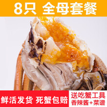 【活鲜】全母大闸蟹鲜活螃蟹活体特大现货礼盒装 塞红康尔 (全母3.0-2.5两)8只