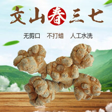 康中尊 云南文山仿野生种植有无剪口三七30头20头18头狮子头5年生春三七粉 优选 狮子头滑头三七40头500克
