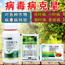 植物病毒病专用药吗胍乙酸铜辣椒草莓番茄西红柿毒病专用药剂 450ml