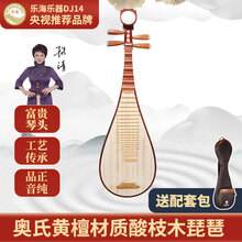 乐海琵琶乐器奥氏黄檀材质木轴木相花开富贵头饰酸枝木琵琶DJ14 DJ14