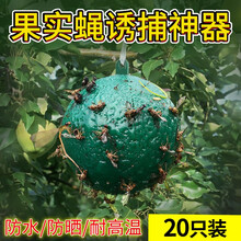 吉越 诱蝇球瓜果实蝇粘虫球捕柑橘大实蝇杀桔小实蝇针蜂沾马蜂灭贴粘果蝇诱捕器家用诱粘剂果园灭蚊虫粘蝇纸 绿色20只装