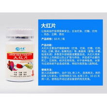 仟鱼观赏鱼专用药大白片大红片龙鱼必定清除虫片水霉病内外寄细菌 仟鱼大红片
