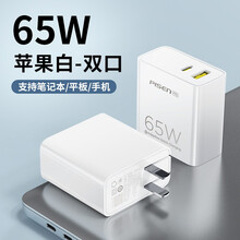 品胜65WPD快充45W氮化镓30W充电器18W快速11套装插头GaN适用于ipad冲iphone PD65W【白色双口】旅行款
