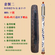 杉贝 SHANBEI 傣艺竖吹巴乌小学生初学入门抖音同款 套餐二:竖吹仿青花F调巴乌+皮盒+