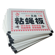 苍蝇贴苍蝇纸粘蝇纸板灭苍蝇药捕蝇 50片+10包药粉