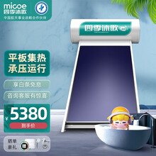 四季沐歌（MICOE）劲龙星 太阳能热水器家用 平板承压式屋顶全自动太阳能 光电两用 恒压大出水 【送货到家 包安装】120L 3-5人使用