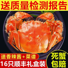 【活蟹】蟹品煌大闸蟹现货 超大 鲜活特大螃蟹 六月黄螃蟹全公母蟹 生鲜活蟹水产 礼盒装 大闸蟹2.4-2.7两16只装
