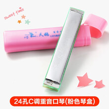 天鹅口琴初学者学生24孔入门儿童复音专业重音C调口 琴乐器 【演奏】粉色24孔C调重音