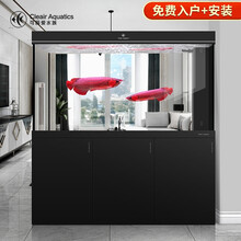 Cleair可丽爱 CAG超白玻璃鱼缸免换水客厅屏风生态家用底滤水族箱g 黑色 2021款CAG W400 1200mm长