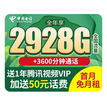 中国电信 电信流量卡不限速星卡大王无限流量上网卡流量纯上网卡花卡手机卡电话卡0月租电信卡号码全国通用 【电信超星卡】
