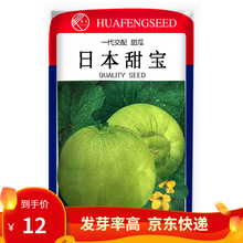 凤鸣雅世  早熟种孑盆栽水果种子 日本甜宝种子  清香甜瓜种子 绿宝甜瓜种子 果蔬种籽 水果种子 日本甜宝种子10克