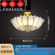盼达山轻奢品牌创意全铜吸顶灯客厅灯卧室灯书房餐厅灯大气花 小号45CM