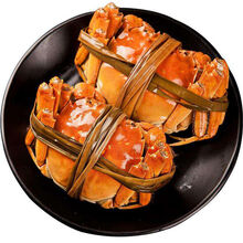 【活蟹】大闸蟹鲜活活体螃蟹现货六月黄公母海鲜水产蟹类 安德兰 【2.5-2.0两 16只】只只有黄