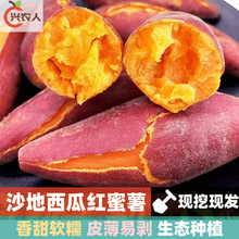 （现挖现发）西瓜红蜜薯 红薯 地瓜  绵甜山芋 沙栗番薯 网带精包装 9斤 小果