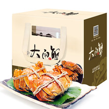 京东超市	
【活蟹】金碧波 六月黄鲜活大闸蟹 8只装 2.5-2.8两/只 现货实物 螃蟹礼盒 海鲜水产