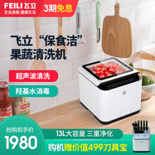 飞立果蔬清洗机家用超声波洗菜机解毒消毒水果蔬菜自动食材净化机