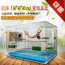 鸟笼子 加大加粗加重镀锌繁殖笼牡丹鹦鹉鸟笼八哥鸽子大号笼子 加粗款：50*35*35(套餐二)