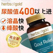 HerbsofGold降尿酸高痛风药灵关节痛芹菜籽西芹籽精华胶囊不含非布司他 降尿酸两瓶装（95%痛风人群的选择）