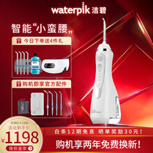 洁碧（Waterpik）冲牙器高端商务便携水牙线家用家庭式去牙结石洗牙器洁牙机手持式小蛮腰系列 GS9-12珍珠白（原WP-560EC）