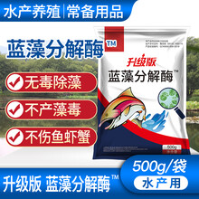 蓝藻分解酶 解蓝藻净蓝藻分解精分解素藻除蓝藻毒净水鱼塘水产养殖 锦鲤池除藻 500g 蓝藻分解酶-升级版/500g/袋