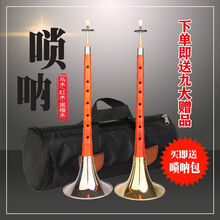 唢呐乐器全套初学者乌木红木唢呐D调成人小唢呐含唢呐包 红木小E调白碗+9+圆包