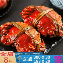 【活鲜】大闸蟹鲜活特大全公母蟹螃蟹六月黄现货礼盒装海鲜水产0.8-3.5两 塔布莫特 【尝鲜8只装】1.5-2.0两