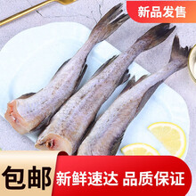 无头深海鳕鱼去头去内脏鳕鱼块明太鱼深海水整条鳕鱼批发 十斤精品装