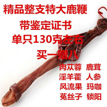 【整支鹿鞭】【长够硬】吉林鹿鞭带证书泡酒药材长白山鹿鞭 130克左右