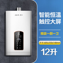 史密斯.劳伦燃气热水器家用煤气零冷水恒温AI 12升智能恒温上门安装 液化石油气